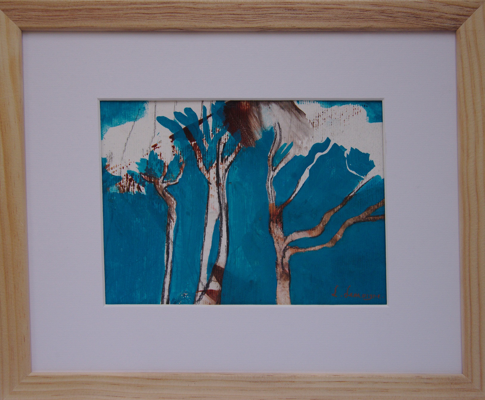 Pinus pinea 7 - Copie